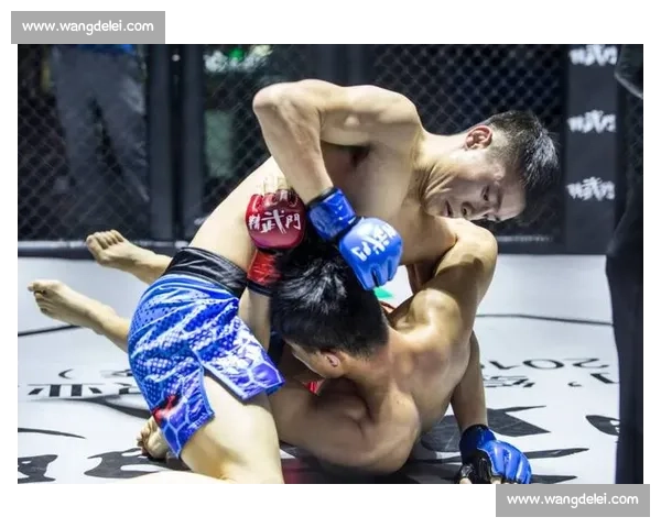 汤仙虎精彩赛事全程回顾 热血对决展现硬核实力